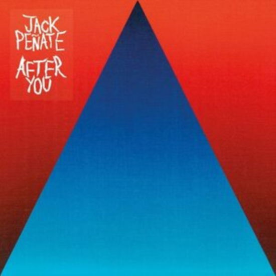 Cover for Jack Penate · After You (LP) (2019)