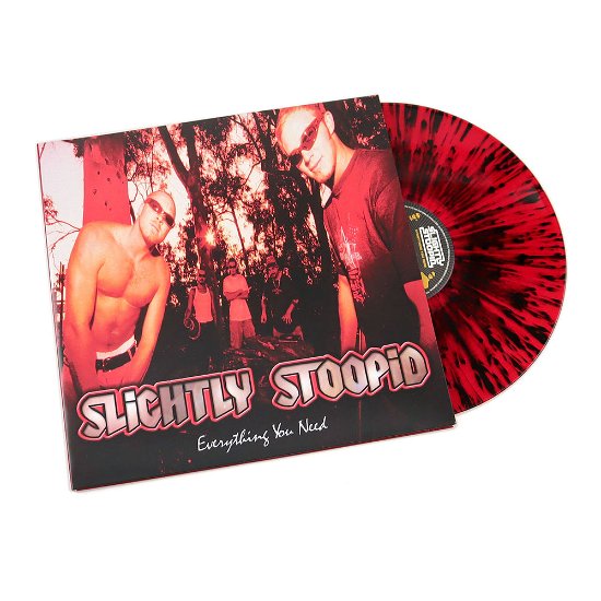 Cover for Slightly Stoopid · Everything You Need (LP) (2024)