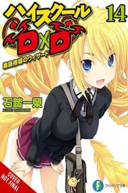 Cover for Ichiei Ishibumi · High School DxD, Vol. 14 (light novel) - HIGH SCHOOL DXD LIGHT NOVEL SC (Paperback Bog) (2024)