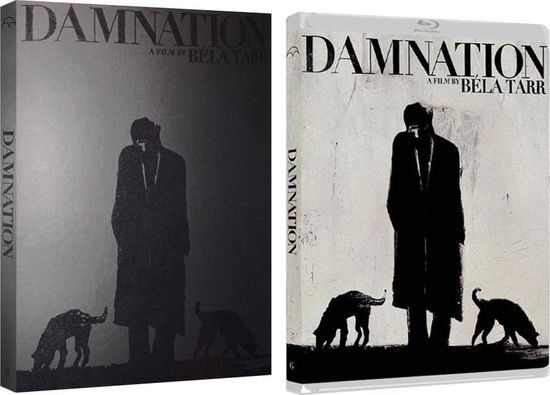 Cover for Damnation (Blu-ray) (2021)