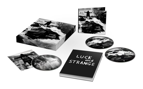 Cover for David Gilmour · Luck and Strange (CD) (2024)