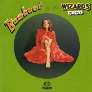 Cover for Wizards · Bambee (CD)