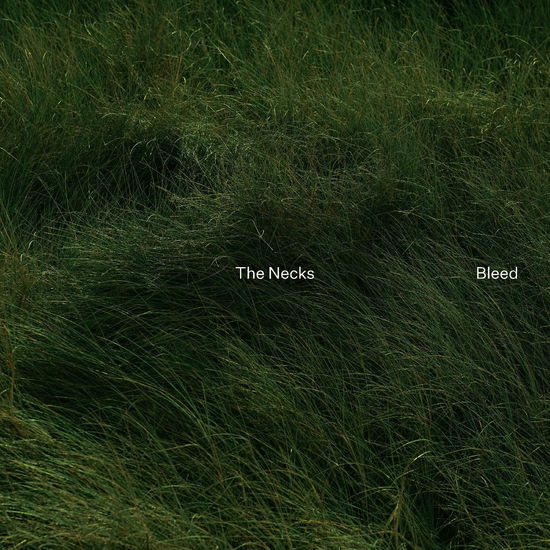 Bleed - The Necks - Music - NORTHERN SPY - 0309272739435 - October 11, 2024