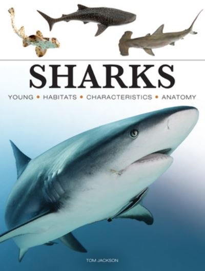 Cover for Tom Jackson · Sharks &amp; Underwater Predators - Mini Animals (Paperback Book) (2024)