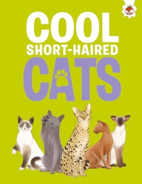 Cover for Eliza Jeffrey · Cool Short-Haired Cats - Cats (Paperback Book) (2024)