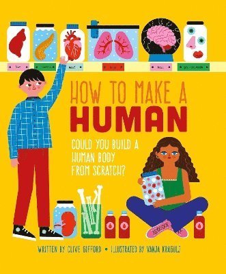 Cover for Clive Gifford · How To Make A Human (Paperback Book) (2024)