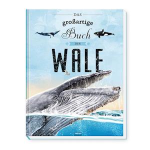 Cover for Trötsch Verlag GmbH &amp; Co.KG · Trötsch Kinderbuch Das großartige Buch der Wale (Book) (2025)