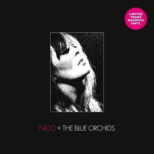 Cover for Nico / Blue Orchids · Live &amp; in Session 1982 (LP) (2025)