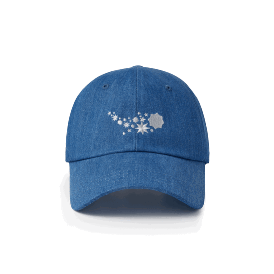 Cover for BTS · 2025 Festa - Ball Cap (Kaskett) (2025)