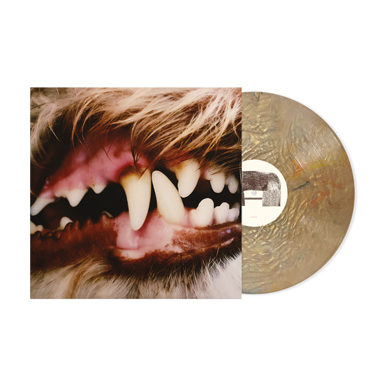 Cover for Lucius (LP) [Liquid Gold Vinyl edition] (2025)