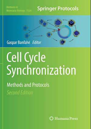 Cell Cycle Synchronization: Methods and Protocols - Methods in Molecular Biology -  - Books - Humana Press Inc. - 9781493982486 - July 7, 2018