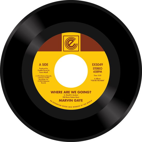 Cover for Marvin Gaye · Where Are We Going / Woman Of The World (LP) (2024)