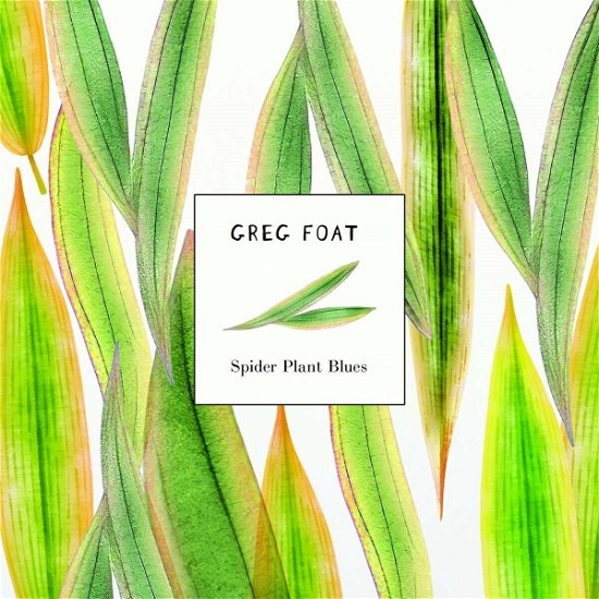 Cover for Greg Foat · Spider Plant Blues (LP) (2024)