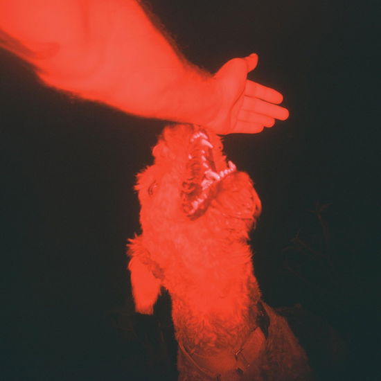 Cover for Eli Winter · A Trick Of The Light (LP) (2025)
