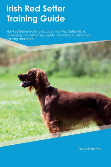 Cover for David Martin · Irish Red Setter Training Guide Irish Red Setter Training Includes: Irish Red Setter Tricks, Socializing, Housetraining, Agility, Obedience, Behavioral Training, and More (Paperback Book) (2023)