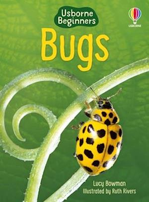 Cover for Lucy Bowman · Bugs (Book) (2025)