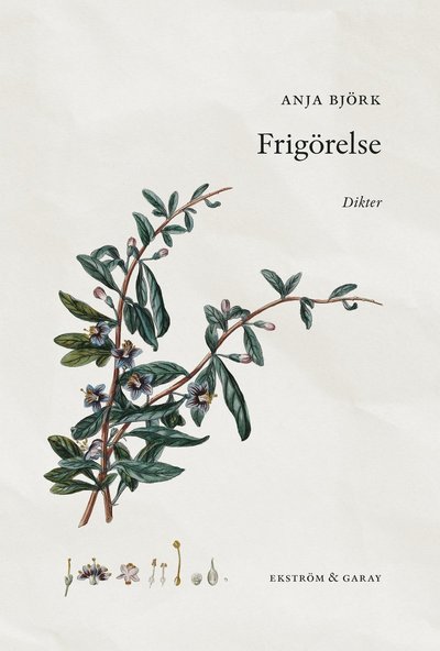 Cover for Anja Björk · Frigörelse (Hardcover Book) (2021)