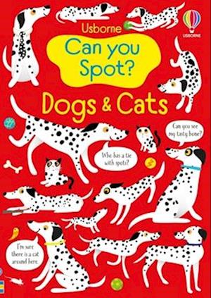 Cover for Kirsteen Robson · Can You Spot? Dogs And Cats (Book) (2025)