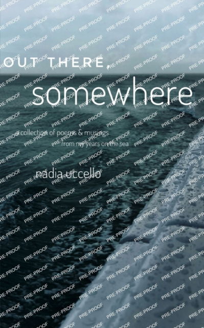 Out There, Somewhere - Nadia Uccello - Bücher - BookLeaf Publishing - 9789357212519 - 2023