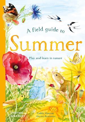 Cover for Gabby Dawnay · A Field Guide to Summer: Play and learn in nature - Field Guide series (Hardcover Book) (2025)