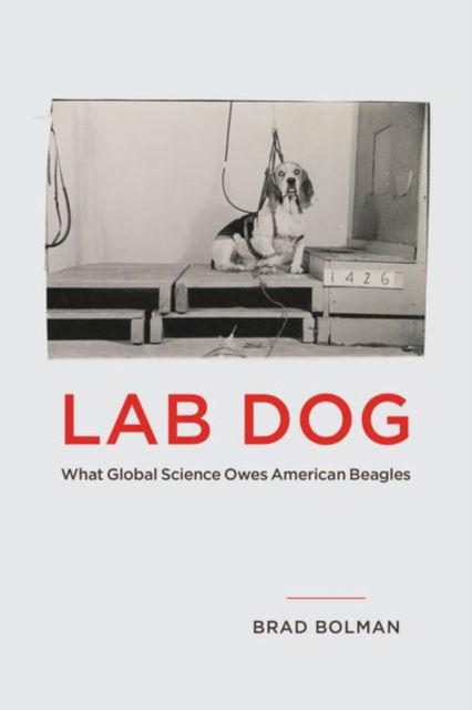 Cover for Brad Bolman · Lab Dog: What Global Science Owes American Beagles (Hardcover Book) (2025)