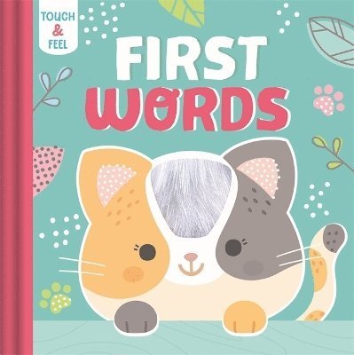 Cover for Igloo Books · First Words - Illustrated Touch and Feel (Inbunden Bok) (2024)