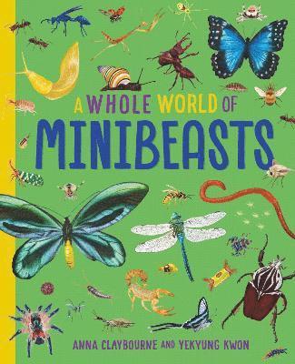 Cover for Anna Claybourne · A Whole World of...: Minibeasts - A Whole World of... (Paperback Book) (2025)