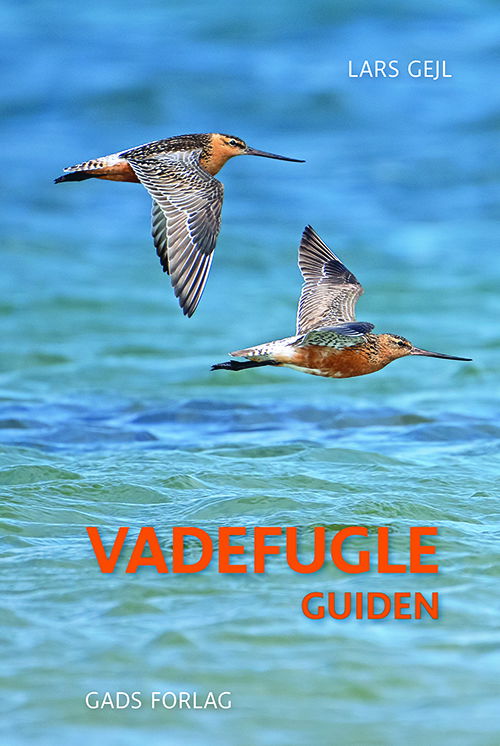 Cover for Lars Gejl · Vadefugleguiden (Bound Book) [1st edition] (2025)