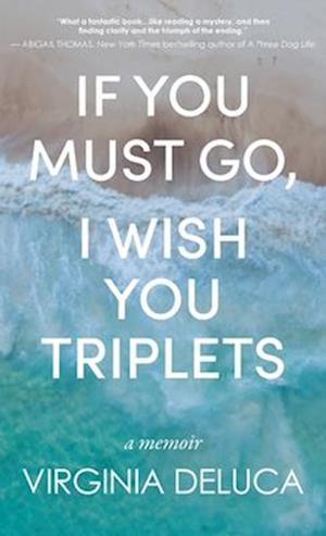 Cover for Virginia DeLuca · If You Must Go, I Wish You Triplets (Hardcover Book) (2025)