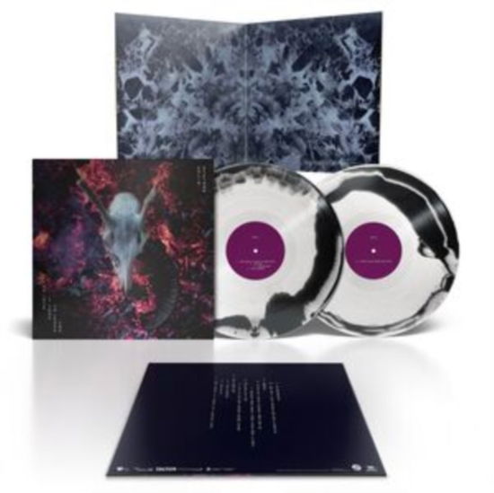 Cover for Colin Stetson · The Love It Took To Leave You (LP) (2025)