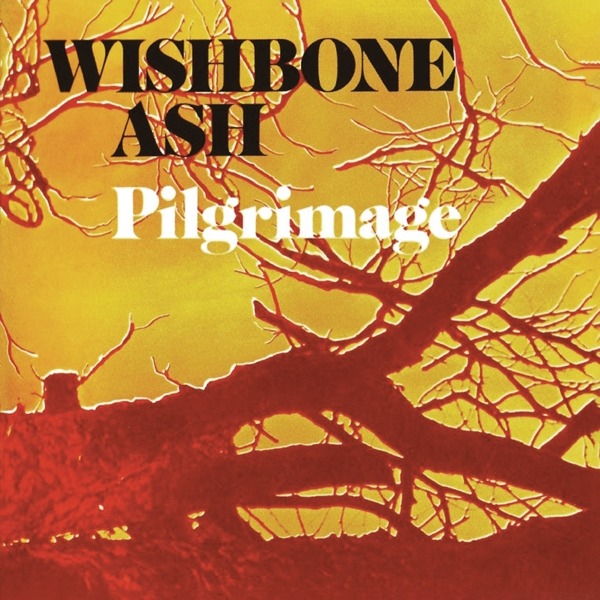 Pilgrimage - Wishbone Ash - Music - MUSIC ON CD - 0600753999547 - November 1, 2024