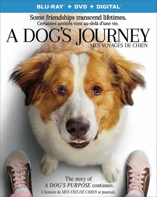 Cover for Blu-ray · Dog's Journey, a (Blu-ray) (2019)