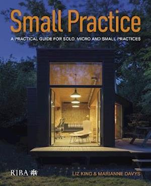 Cover for Liz King · Small Practice: A practical guide for solo, micro and small practices (Paperback Book) (2025)