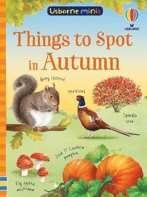 Cover for Simon Tudhope · Things to Spot in Autumn - Usborne Minis (Paperback Book) (2025)