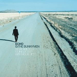 Cover for Echo And The Bunnymen · What Are You Going To Do With Your Life ? (LP) (2025)