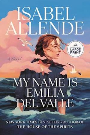 Cover for Isabel Allende · My Name Is Emilia Del Valle (Bog) (2025)