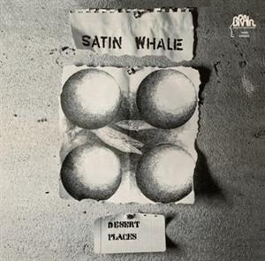 Satin Whale · Desert Places (Silver) (LP) (2024)