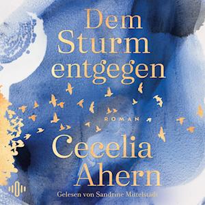 Cover for Cecelia Ahern · Dem Sturm entgegen (Audiobook (CD)) (2024)