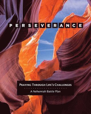 Cover for Donna Pyle · Perseverance (Paperback Book) (2019)