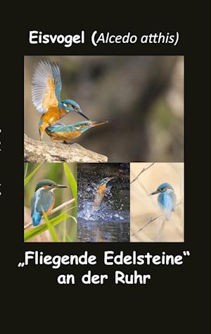 Cover for Fotolulu · Eisvogel (Alcedo atthis) (Paperback Book) (2021)