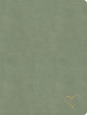Cover for Csb Bibles by Holman · Holy Bible: With Prayers and Encouragement from Nancy Demoss Wolgemuth (Hardcover Book) (2025)