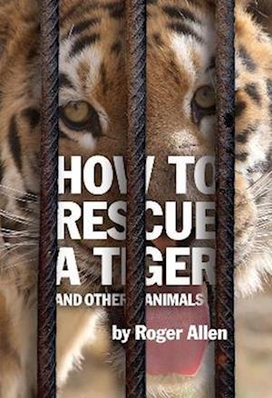 Cover for Roger Allen · How to Rescue a Tiger: And Other Animals (Hardcover Book) (2025)