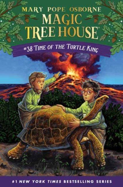 Cover for Mary Pope Osborne · Time of the Turtle King (Pocketbok) (2024)