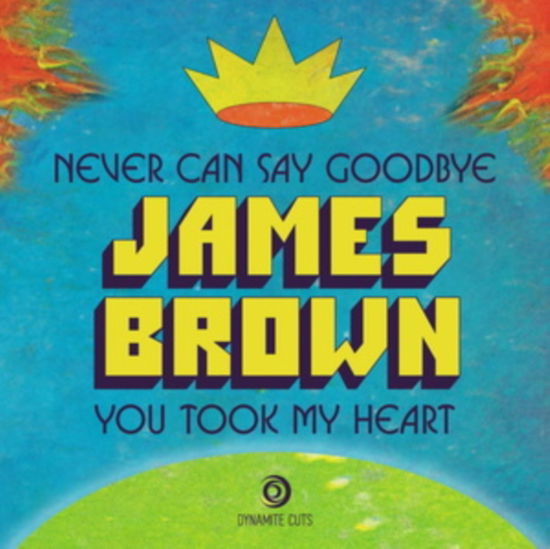 Cover for James Brown · Never Can Say Goodbye (LP) (2024)