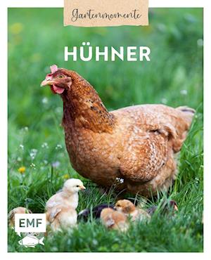 Cover for Edition Michael Fischer · Gartenmomente: Hühner (Book) (2025)