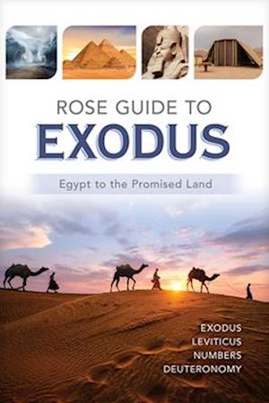 Cover for Rose · Rose Gt Exodus (Book) (2024)