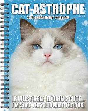 Cover for Willow Creek Press · Cat-Astrophe 2026 6.5 X 8.5 Engagement Calendar (Buch) (2025)