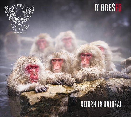 Cover for It Bites FD · Return To Natural (CD) (2024)