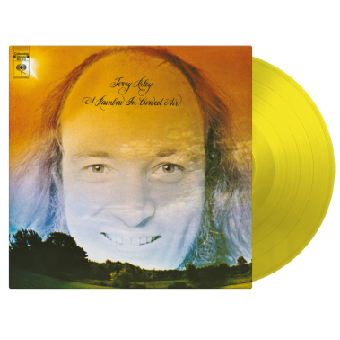 Cover for Terry Riley · A Rainbow In Curved Air (LP) [Yellow Vinyl edition] (2025)