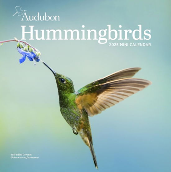 National Audubon Society · Audubon Hummingbirds Mini Wall Calendar 2025 (Kalender) (2024)